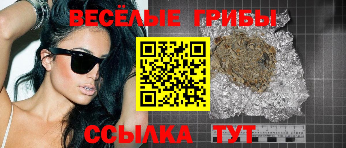 Чистополь  Галлюциногенные грибы прущие грибы  Вход с VPN 