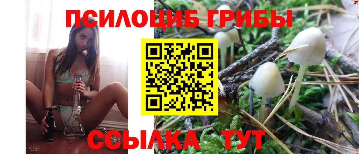 Галлюциногенные грибы ЛСД Чистополь
